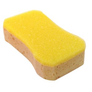 Jumbo bug sponge