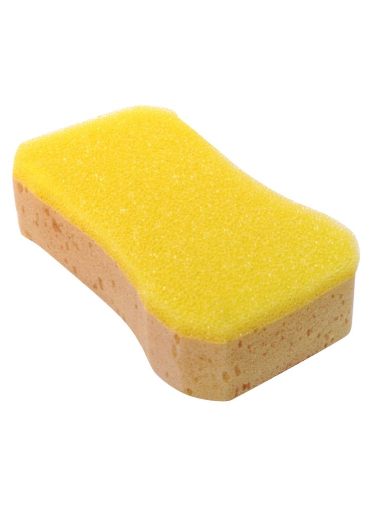 Jumbo bug sponge